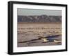 Chott El Jerid, Flat Dry Salt Lake Between Tozeur and Kebili, Tunisia, North Africa, Africa-Dallas & John Heaton-Framed Photographic Print