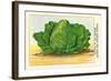 Chou Coeur De Boeuf Moyen De La Halle-null-Framed Art Print