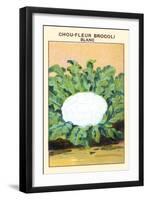 Chou-Fleur Brocoli Blanc-null-Framed Art Print