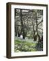 Chouf Cedar Reserve, Lebanon, Middle East-Wendy Connett-Framed Photographic Print