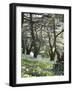 Chouf Cedar Reserve, Lebanon, Middle East-Wendy Connett-Framed Photographic Print