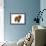 Chow Chow-null-Framed Photographic Print displayed on a wall