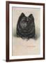 Chow Chow-null-Framed Art Print