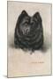 Chow Chow-null-Mounted Art Print
