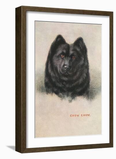 Chow Chow-null-Framed Art Print