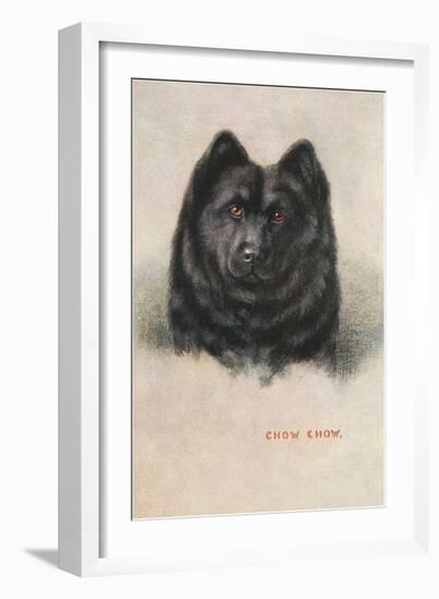 Chow Chow-null-Framed Art Print