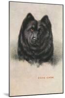 Chow Chow-null-Mounted Art Print