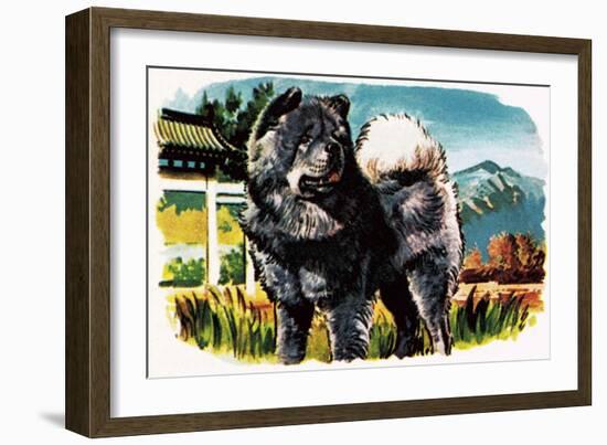 Chow-Chow-English School-Framed Giclee Print