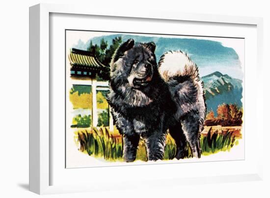 Chow-Chow-English School-Framed Giclee Print