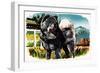 Chow-Chow-English School-Framed Giclee Print