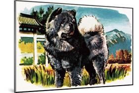 Chow-Chow-English School-Mounted Giclee Print