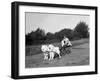 Chows Pulling a Cart-null-Framed Photographic Print