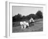 Chows Pulling a Cart-null-Framed Photographic Print