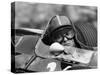 Chris Amon in a Lotus 25-Brm V8, French Grand Prix, Rouen, 1964-null-Stretched Canvas