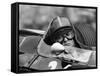 Chris Amon in a Lotus 25-Brm V8, French Grand Prix, Rouen, 1964-null-Framed Stretched Canvas