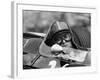 Chris Amon in a Lotus 25-Brm V8, French Grand Prix, Rouen, 1964-null-Framed Photographic Print