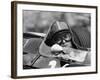 Chris Amon in a Lotus 25-Brm V8, French Grand Prix, Rouen, 1964-null-Framed Photographic Print