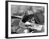 Chris Amon in a Lotus 25-Brm V8, French Grand Prix, Rouen, 1964-null-Framed Photographic Print