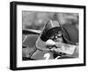 Chris Amon in a Lotus 25-Brm V8, French Grand Prix, Rouen, 1964-null-Framed Photographic Print