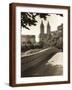 Brown Frame