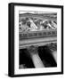 Black Frame