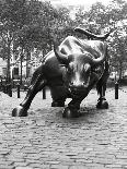 Wall Street Bull Sculpture-Chris Bliss-Photographic Print
