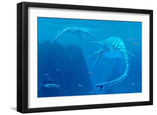 Premium Photographic Print, , large