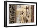 Black Frame