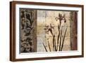 Brown Frame