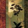 Laminate