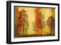 Black Frame
