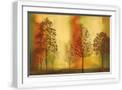 White Frame