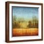 Brown Frame