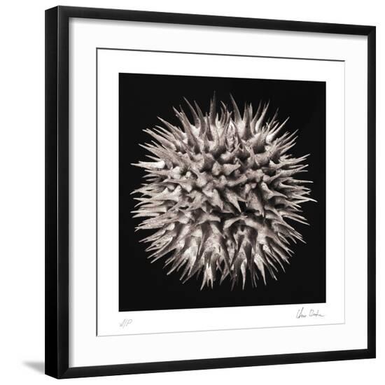 Collectable Print, , large