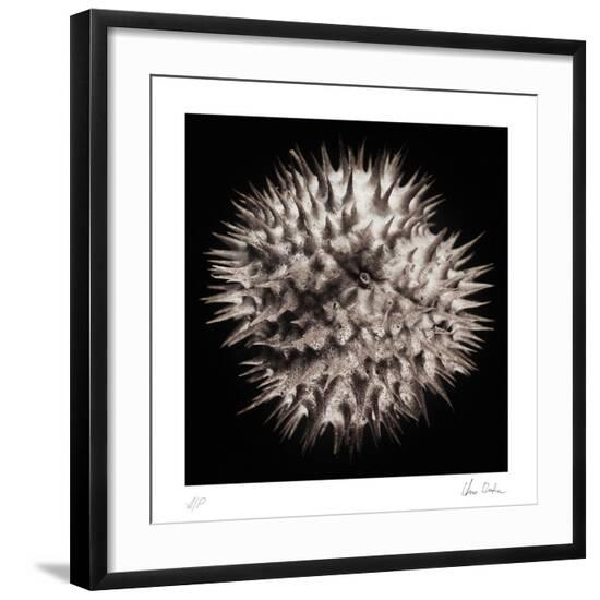 Collectable Print, , large