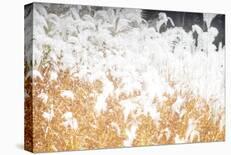 Wintry Coast-Chris Dunker-Stretched Canvas