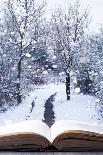 Open Book with Winter Woodland Background and falling Snow-Chris_Elwell-Framed Photographic Print