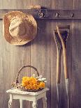 Rustic Shed Door with Hanging Straw Hat and Bucket of Yellow Roses-Chris_Elwell-Photographic Print