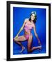 Chris Evert-null-Framed Photo