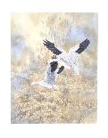 Snow Geese Landing-Chris Forrest-Framed Limited Edition