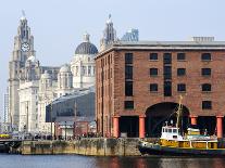Royal Liver Building and Albert Docks, UNESCO World Heritage Site, Liverpool, Merseyside, England, -Chris Hepburn-Photographic Print