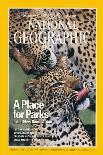Cover of the March, 2006 National Geographic Magazine-Chris Johns-Photographic Print