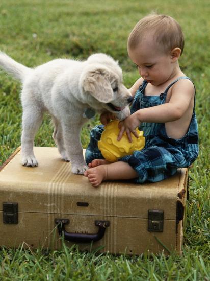 Premium Photographic Print, , large