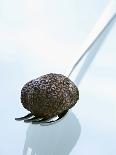 Black Truffle (Chinese Truffle) on Fork-Chris Meier-Framed Stretched Canvas