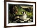 Brown Frame
