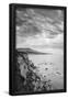 Essential Black