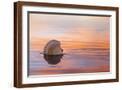 Brown Frame