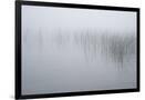 Gramercy Black