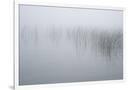 Gramercy White