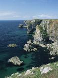 Elegug Stacks, Pembrokeshire, Wales, United Kingdom-Chris Nicholson-Photographic Print